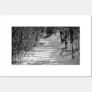 The path in black and white Posters and Art